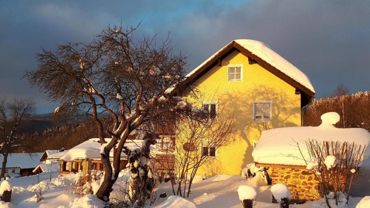 Ferienwohnung Sigi'S Waldhaus Нойшенау Екстер'єр фото